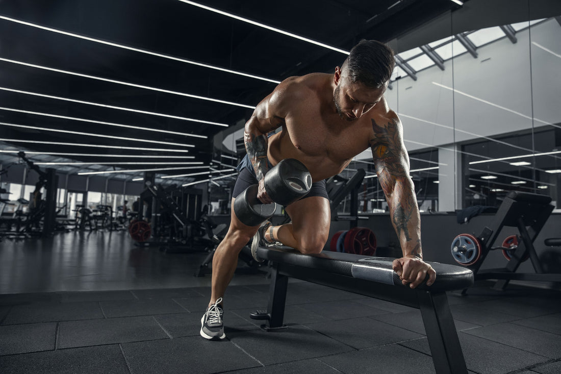 EVOLPOW FITNESS