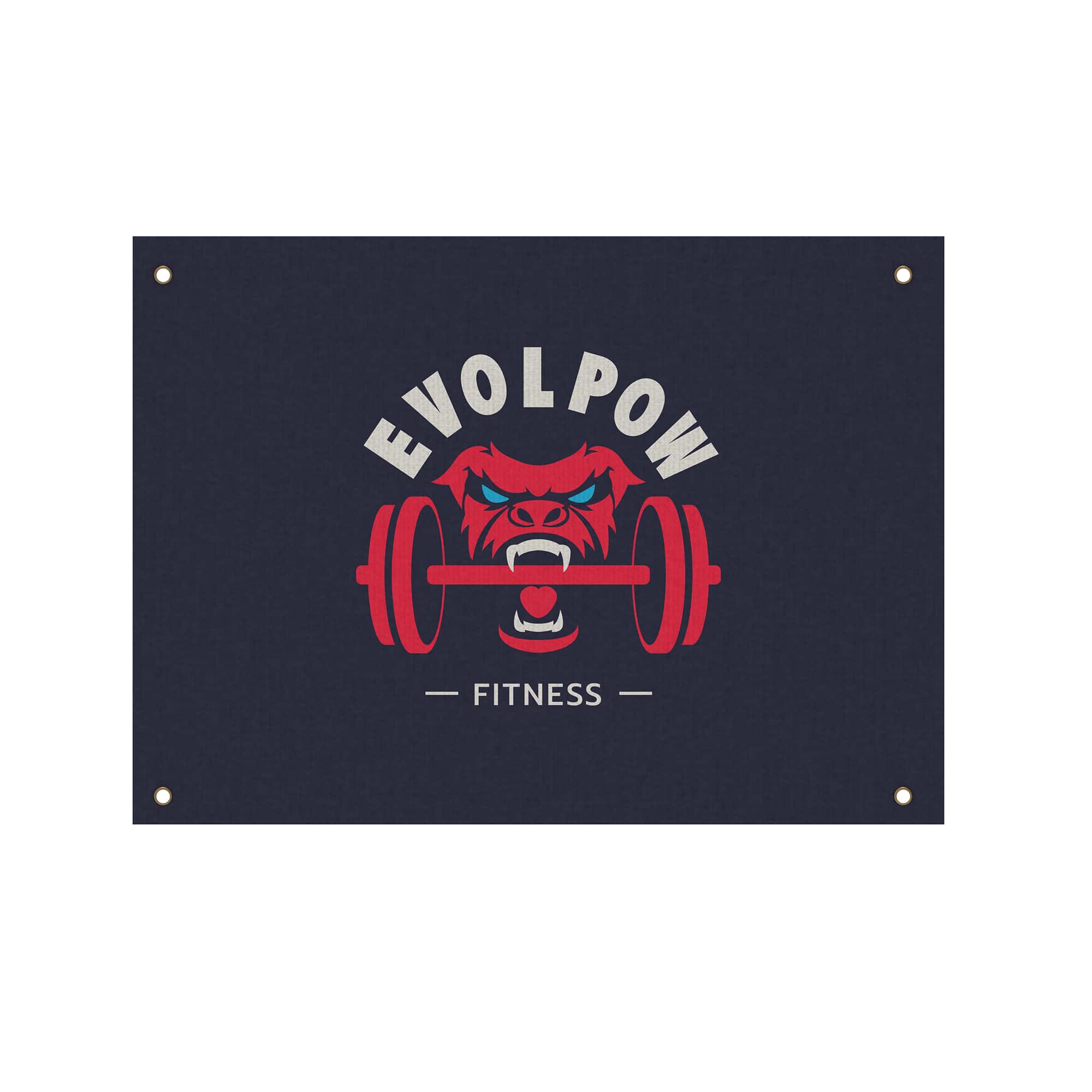 EVOLPOW Gym Flags