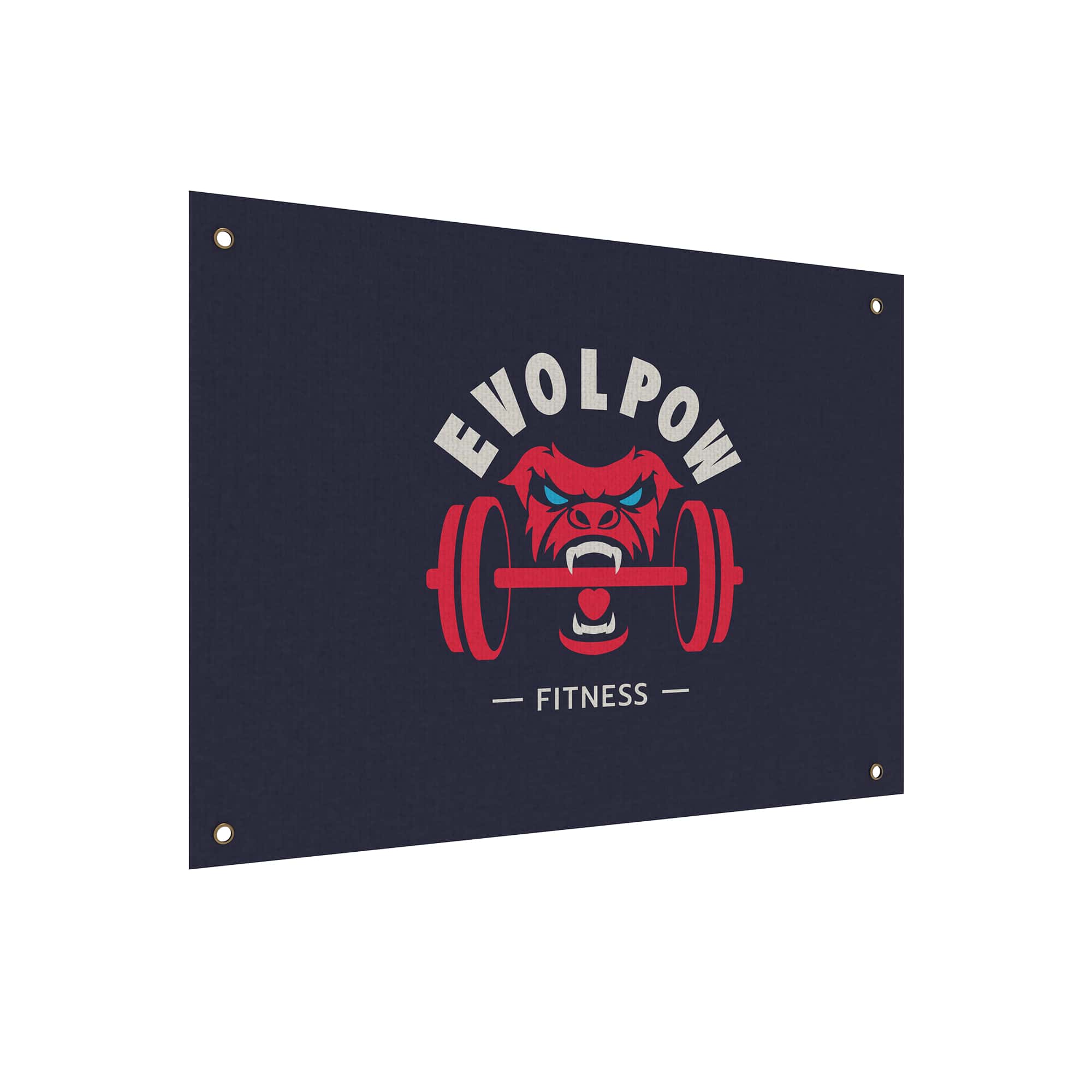 EVOLPOW Gym Flags