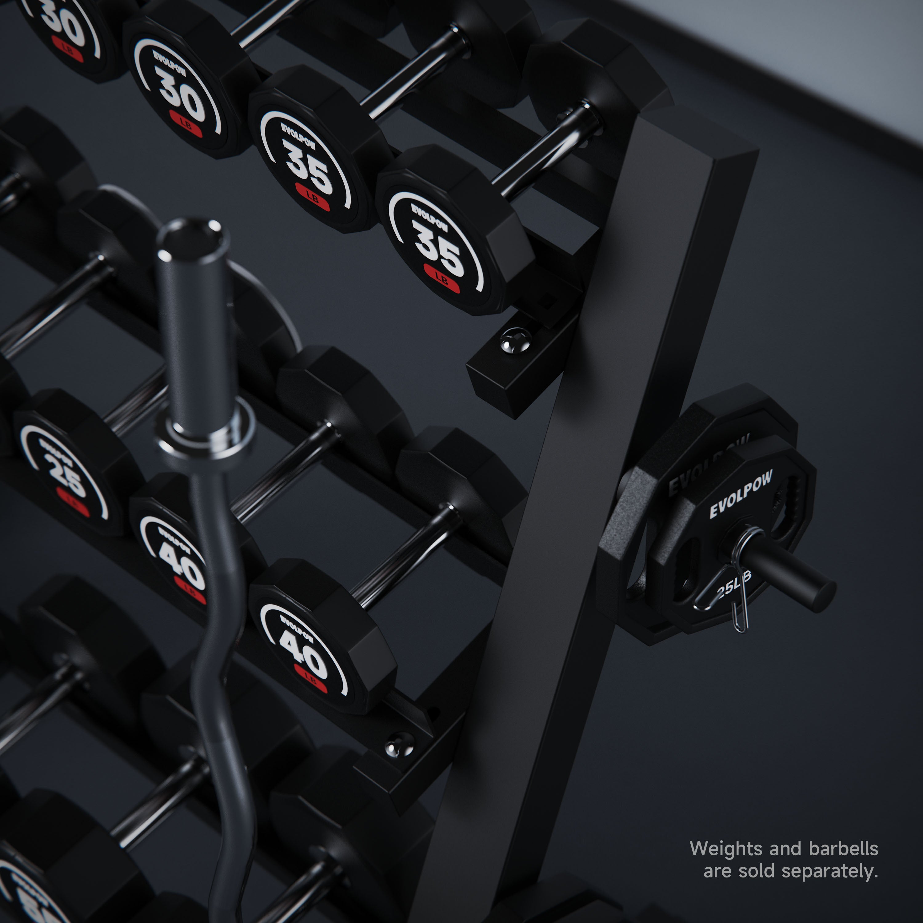 EVOLPOW 3-Tier Multifunctional Dumbbell and Weight Plate Rack
