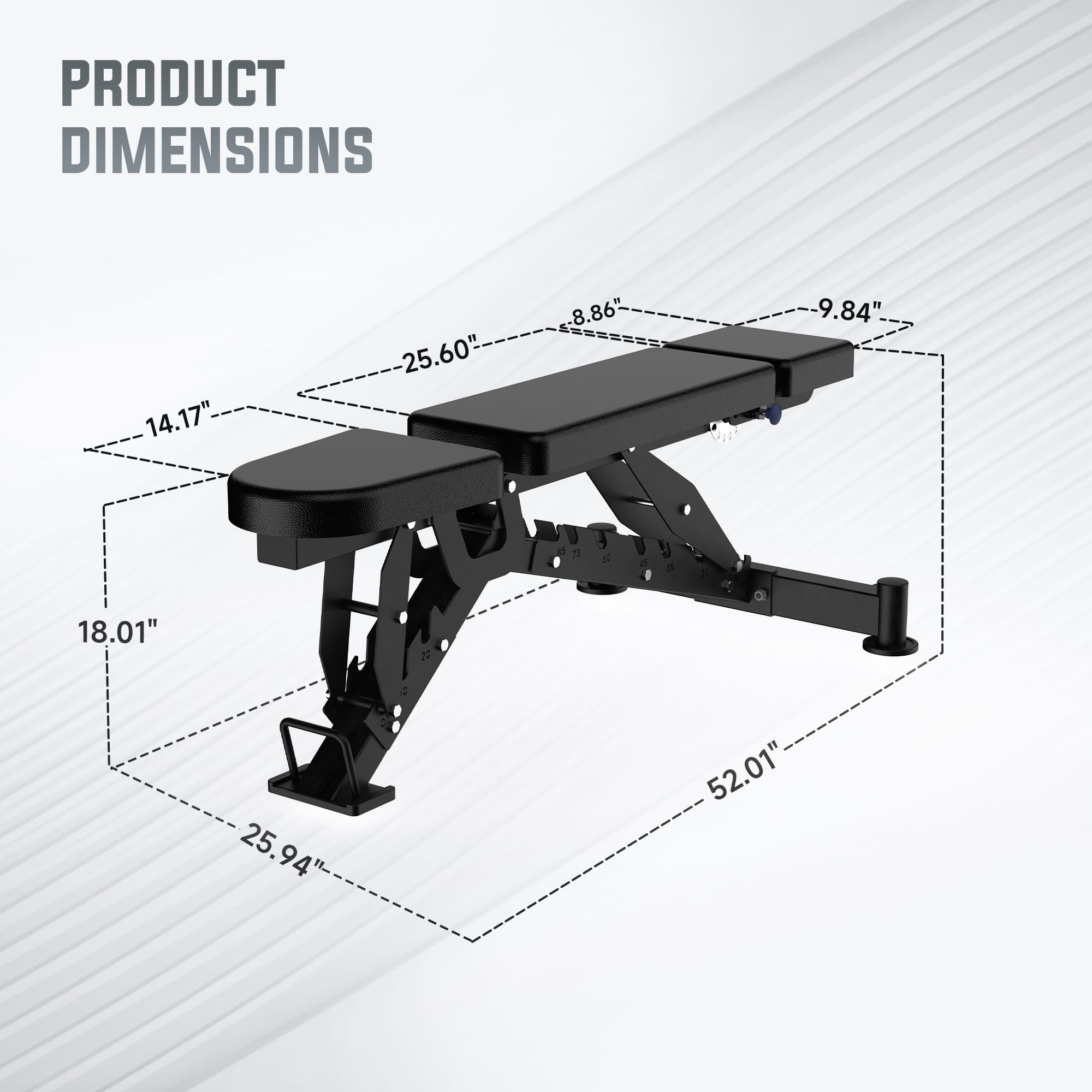 EVOLPOW BEE Adjustable Weight Bench with Multi-Position Headrest