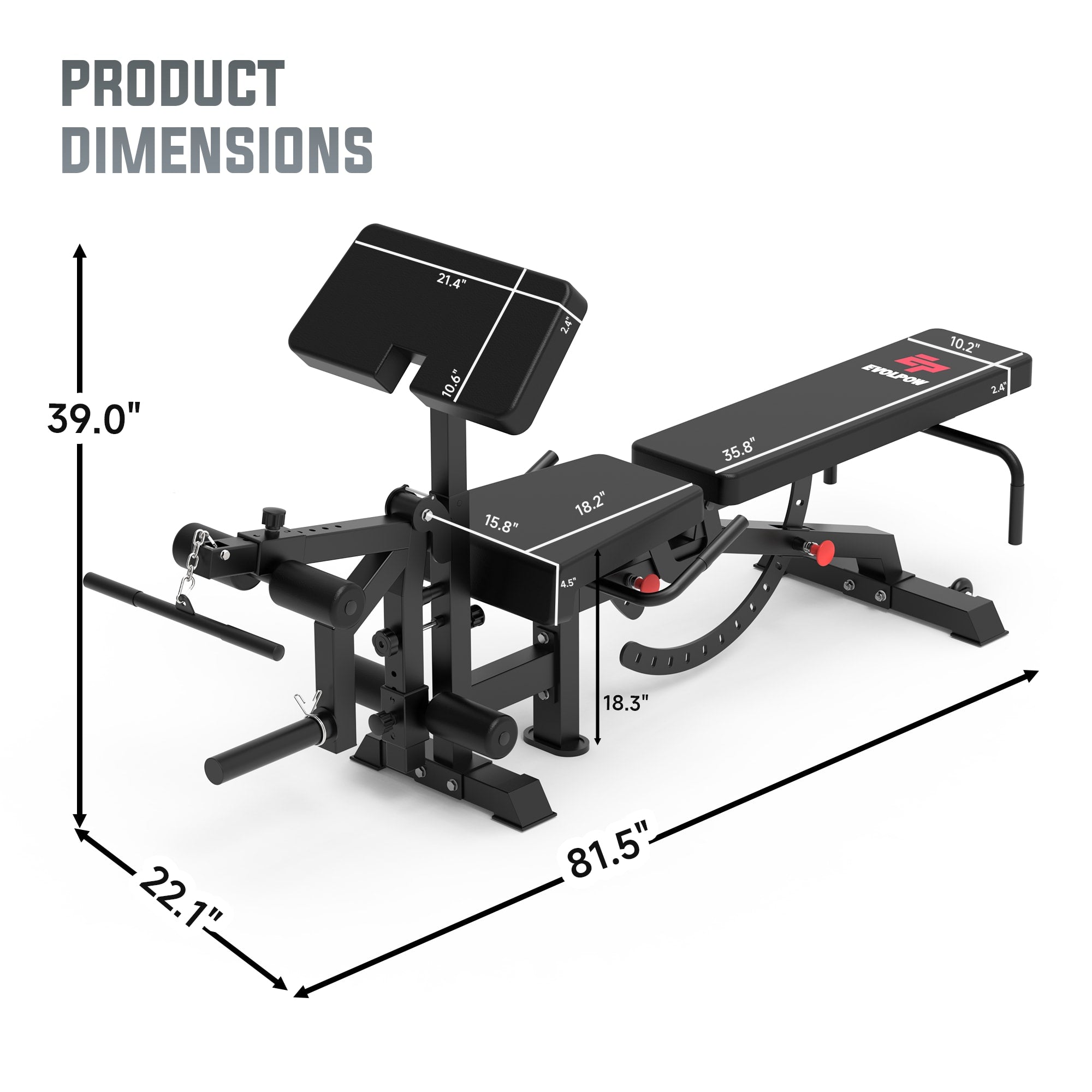 EVOLPOW BEC Multi-functional Adjustable Weight Bench with Preacher Curl and Leg Extension